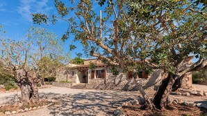 A rustic stone house with a tiled roof, surrounded by a gravel driveway and large trees. - Villa Tatoli is a spacious and traditional 4 bedroom villa with private pool (Pollensa)