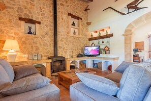 Televisión, chimenea, reproductor de DVD y tenis de mesa 