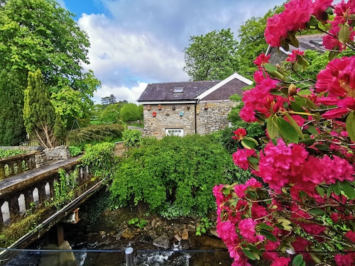 Cosy pet friendly bungalow with free WiFi