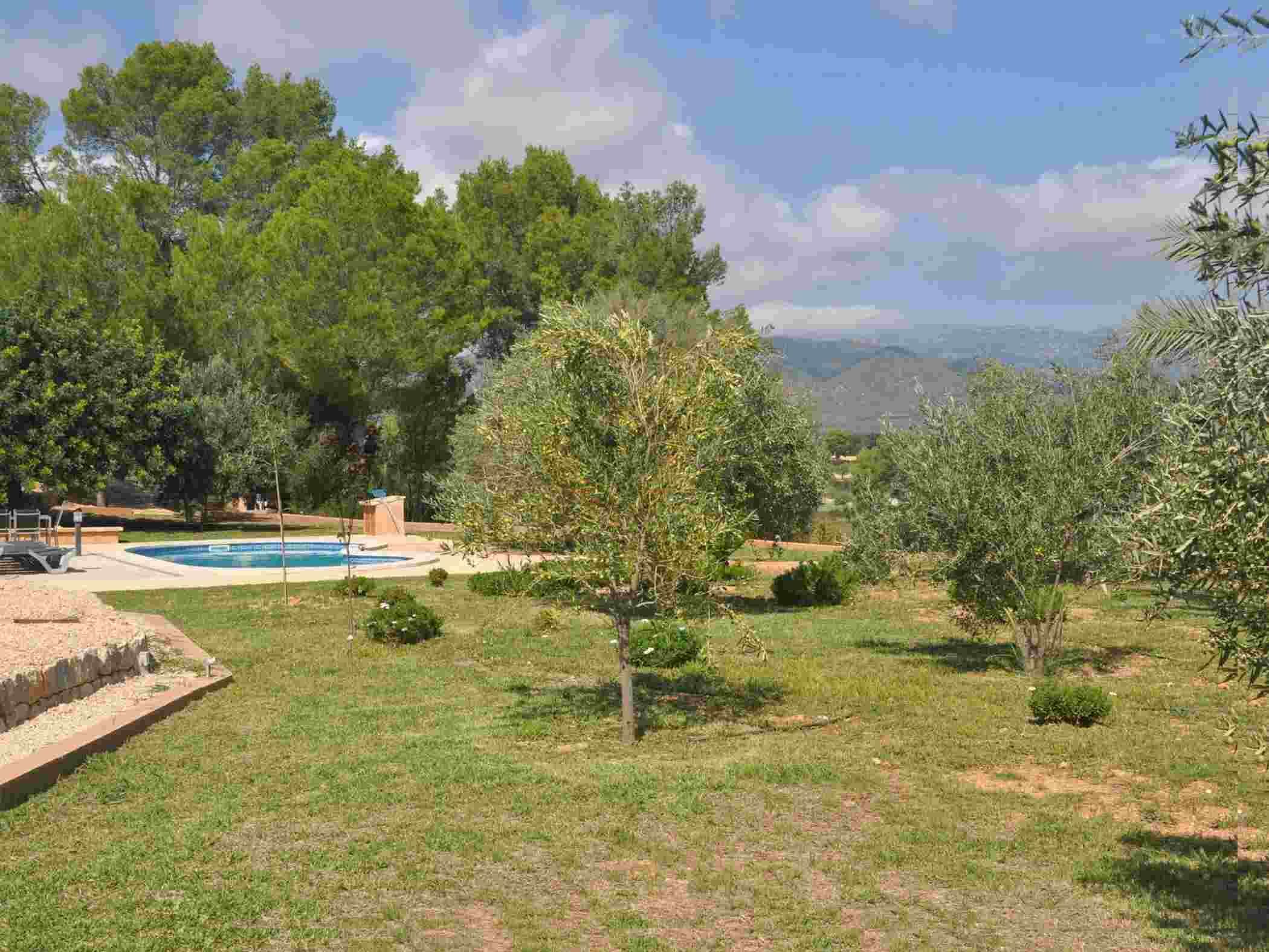A backyard with a swimming pool, surrounded by trees and a view of distant hills.