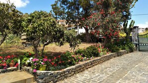 A garden with a stone wall, potted plants, and a paved pathway.