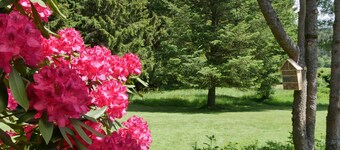 Detached 4 star bungalow -3800 sqm plot in the middle of the national park