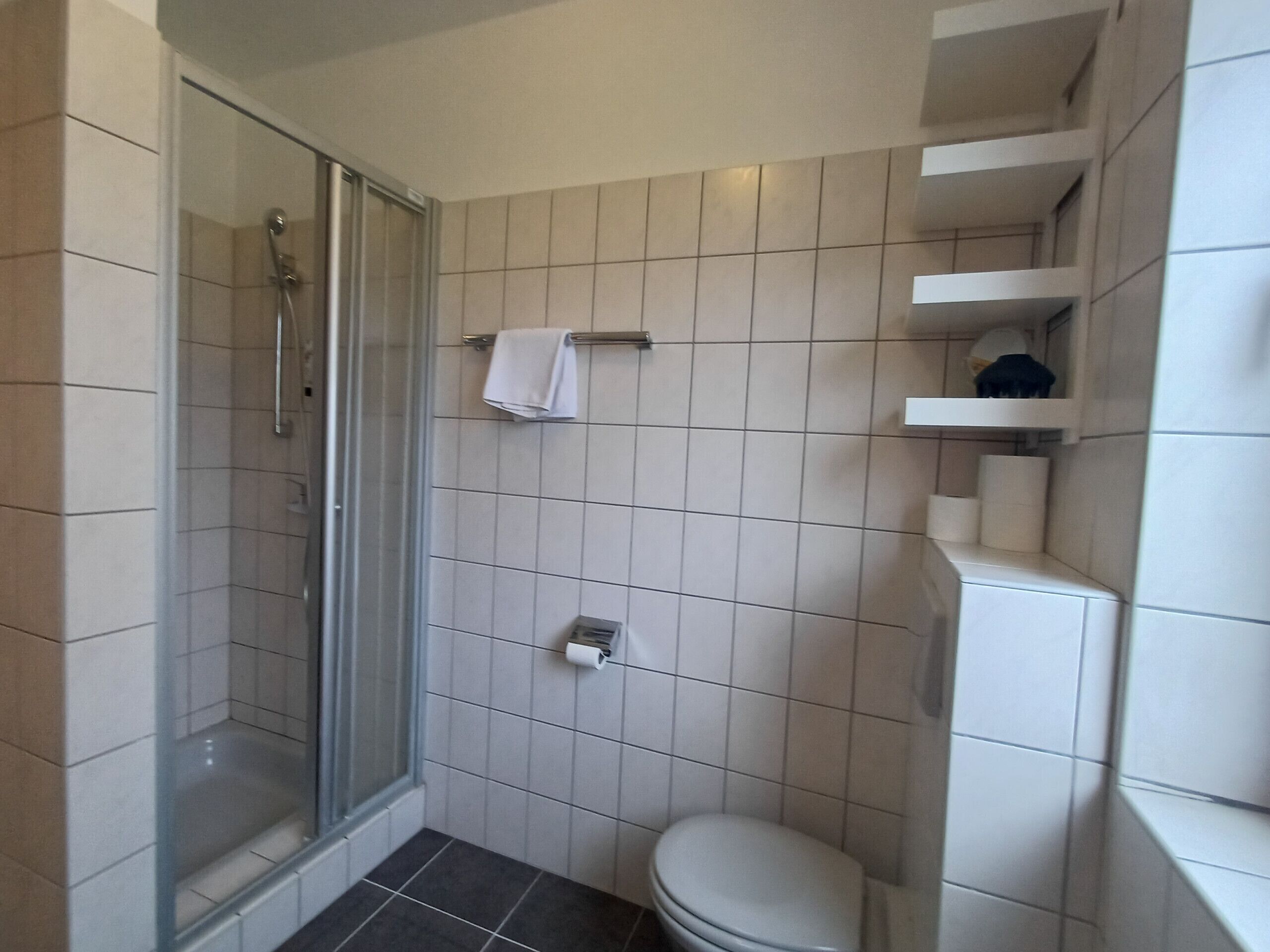 Un baño pequeño con ducha de vidrio, un inodoro y un estante con artículos de aseo.