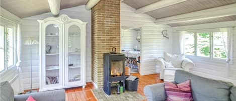 Fernseher, Kamin