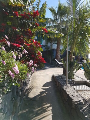 Terrein van de accommodatie