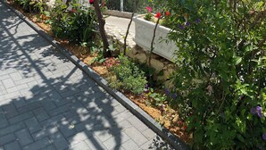 Een geplaveid pad met een stenen rand, omgeven door weelderige begroeiing en bloeiende planten, dat leidt naar een prachtig uitkijkpunt over zee en bergen.