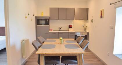 Appartement confortable d'une.