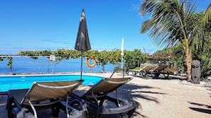 Pool - Luxury apartment, fantastic views, directly on the sea, pool, free Wi-Fi (Arco da Calheta)