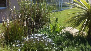 A garden with various plants and flowers in front of a modern building with large windows. - House 2/4 persons 100m from the sea/GR34 with swimming pool (Guissény)