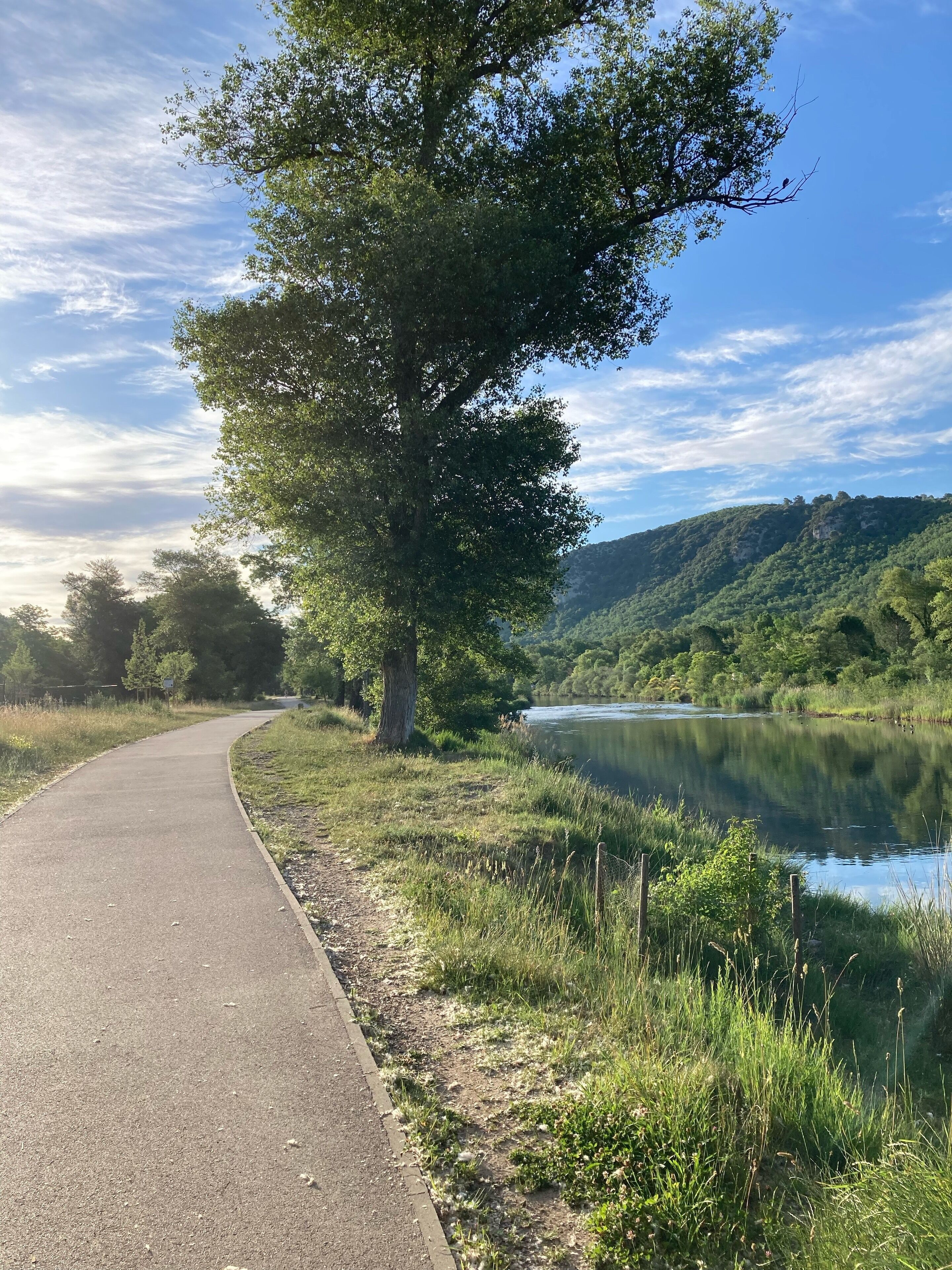 Un sentier pavé longe une rivière paisible, bordé d’une végétation luxuriante et d’arbres.