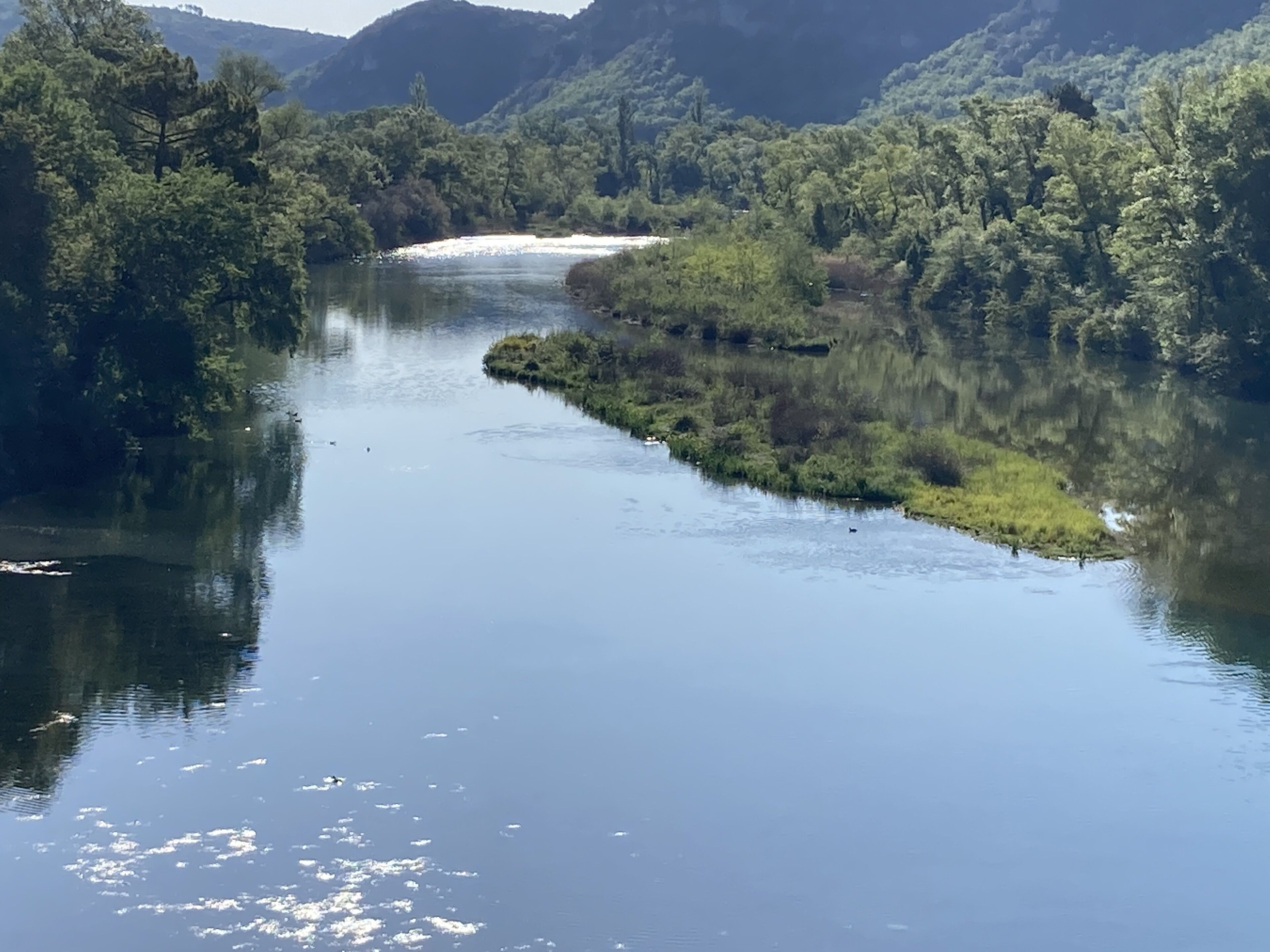 Un río rodeado de un bosque frondoso y colinas.