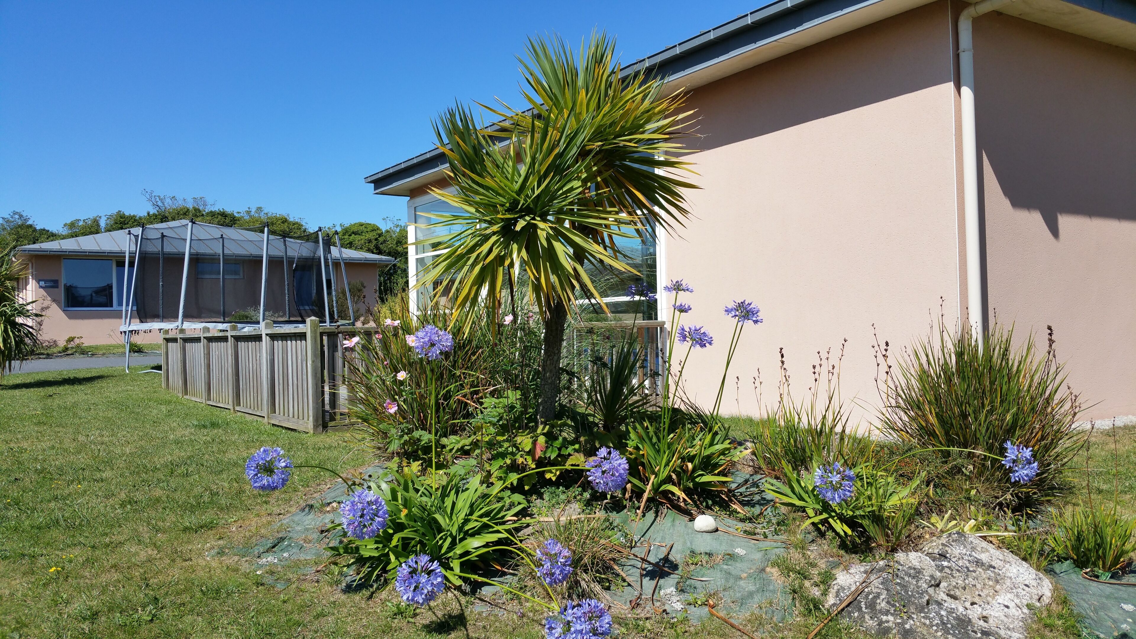 A residential area with a house, a fenced yard, and a palm tree.