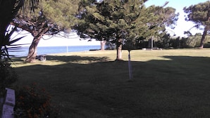 A grassy area with trees and a view of the sea. - Santa Lucia, Unit 357 (Santa-Lucia-Di-Moriani)