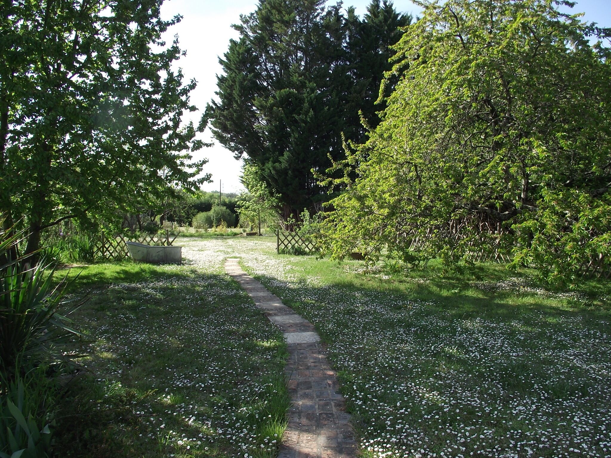 A pathway through a garden with a variety of trees and a fence.