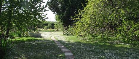 A pathway through a garden with a variety of trees and a fence.