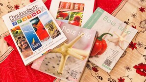 Une collection de brochures de voyage avec du texte et des images bien visibles, notamment celles intitulées « Choubloulette », « Loisirs », « Bois le Lé » et « Martinique ».