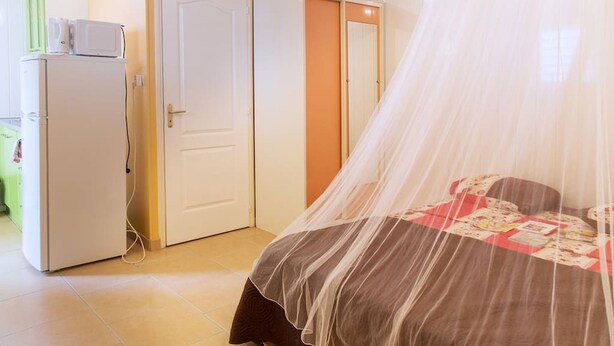 Une chambre à coucher avec un lit recouvert d’une moustiquaire, une porte blanche et un réfrigérateur blanc.