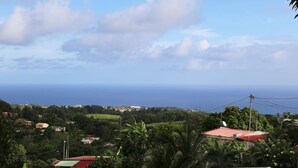 Un paysage côtier avec des maisons et une végétation luxuriante.