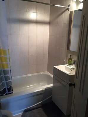 Ensemble douche/baignoire, sèche-cheveux, serviettes fournies