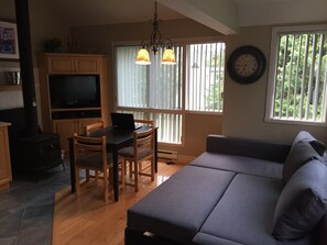 Télévision, cheminée, lecteur de DVD