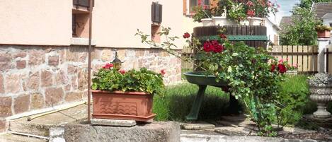 Área da propriedade