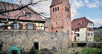 Homerez - Appartement Ă Kientzheim