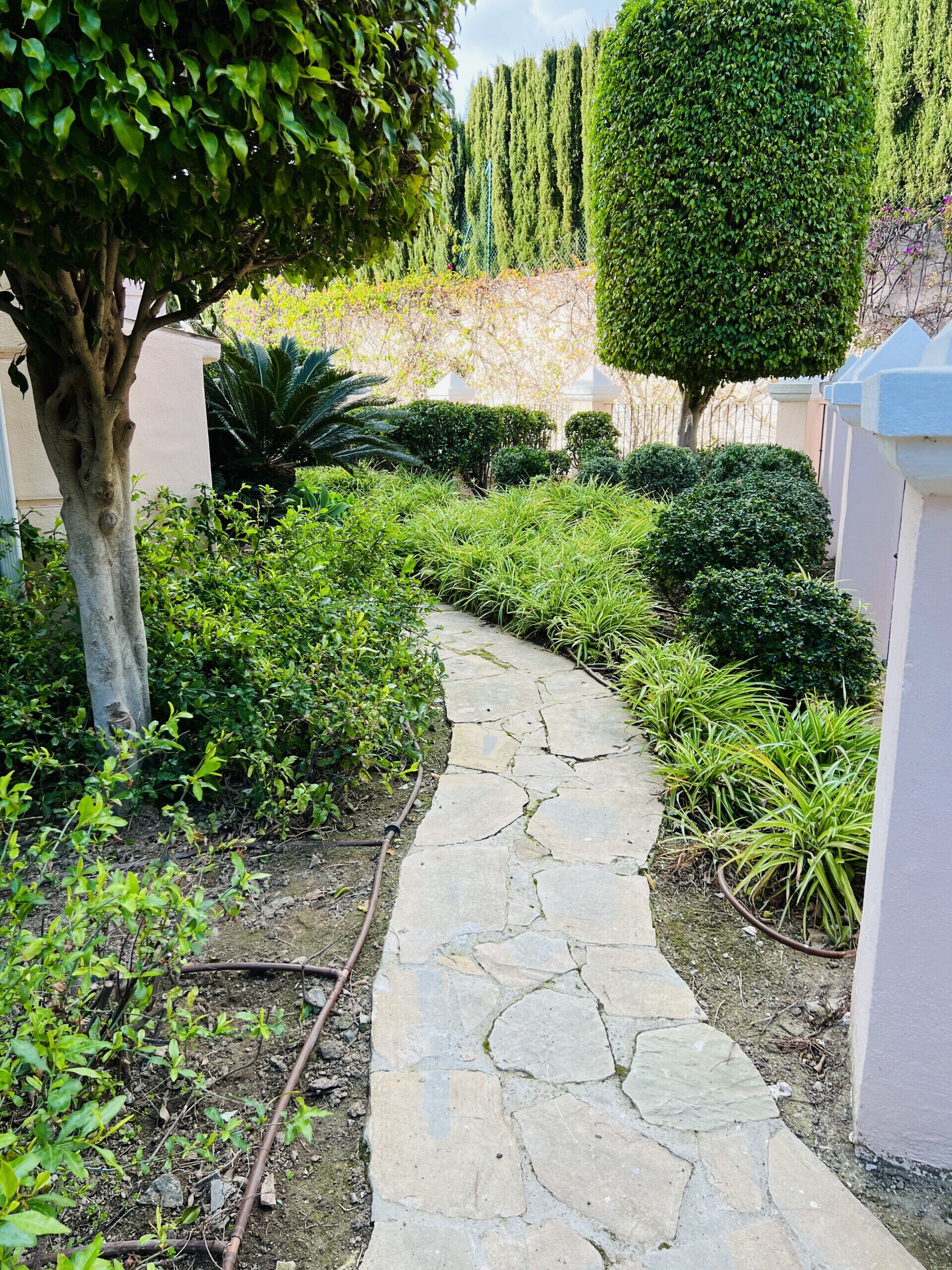 Jardines del alojamiento