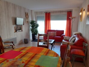 TV, DVD player, books