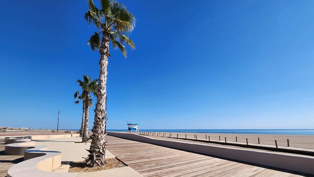 A coastal promenade with palm trees, a wooden boardwalk, and a clear view of the beach.