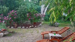 Ein Garten mit Sitzgelegenheit, einem Kübelpflanzen und verschiedenen Sträuchern.