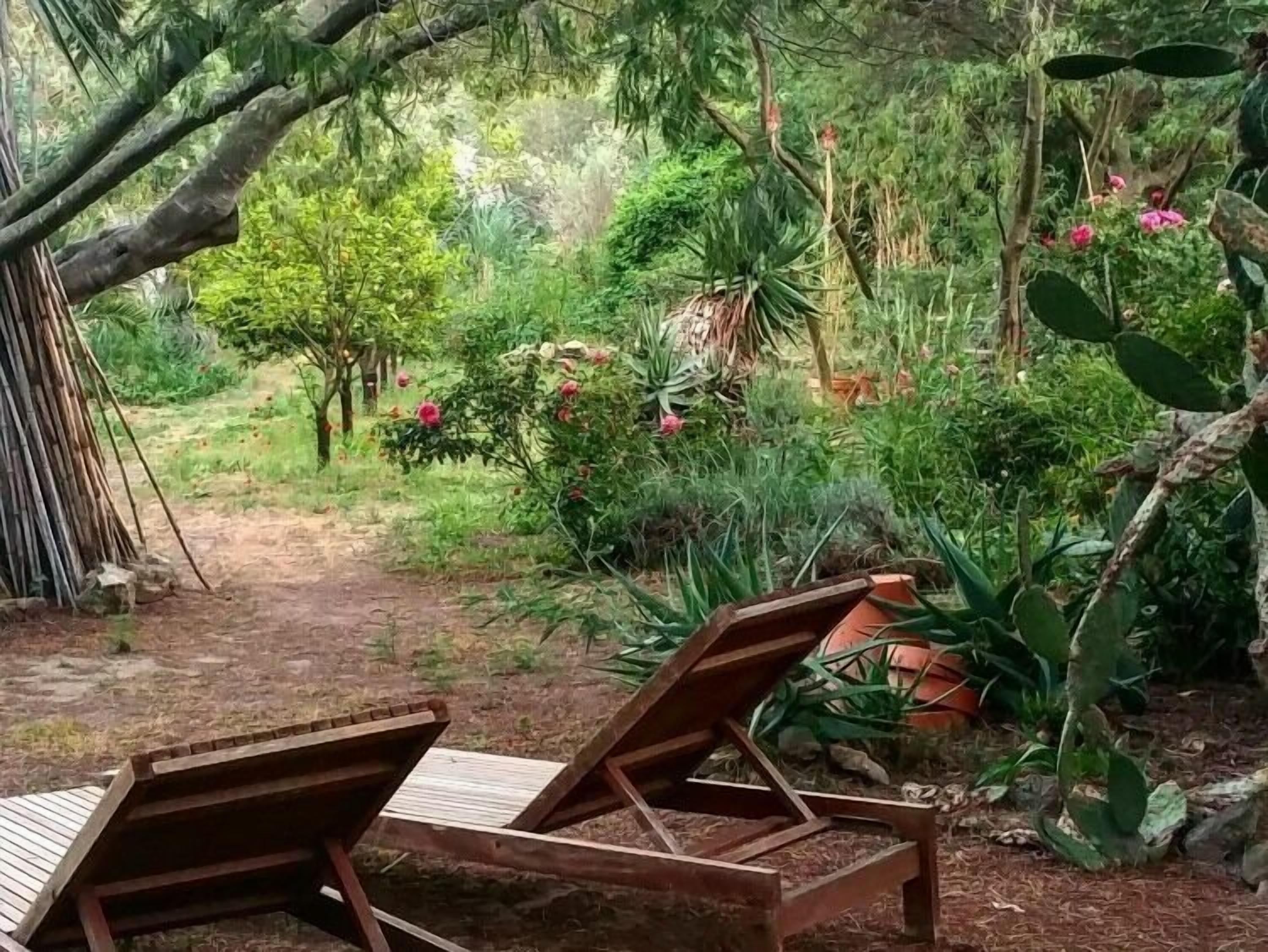 Un jardí amb una banca de fusta i un camí.