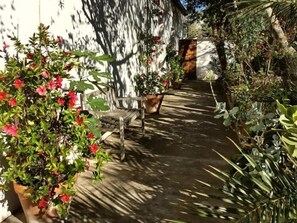 Un vialetto in giardino con una panchina e piante in vaso.