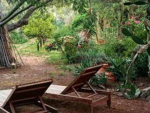 A garden with two wooden lounge chairs, a dirt path, and various plants and flowers.