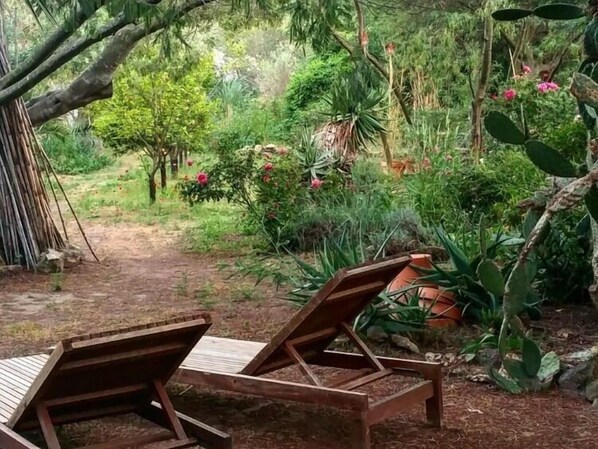 A garden with two wooden lounge chairs, a dirt path, and various plants and flowers.