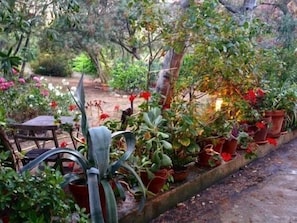A garden with various potted plants and a wooden table.