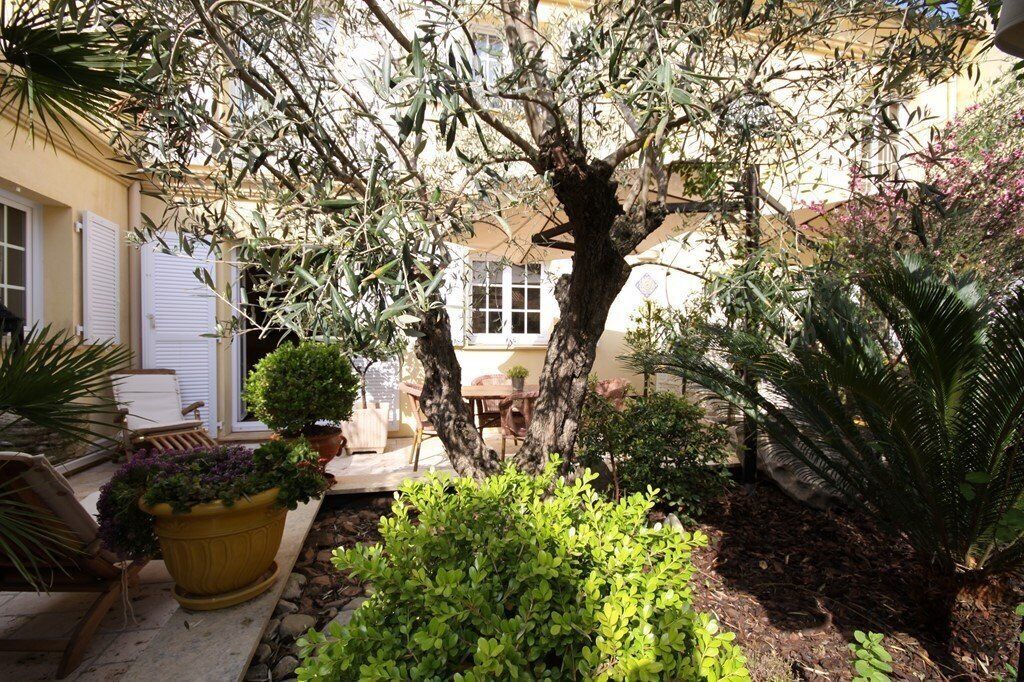 A courtyard with a large tree, potted plants, and a small table.