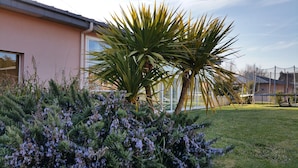 A residential building with a large window, a lawn, and a variety of plants including a palm tree and lavender bushes.