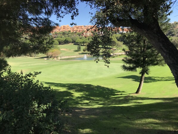 Image sans description, 1 de 44, bouton