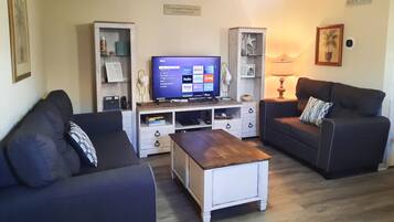 Smart TV, DVD player, books, music library