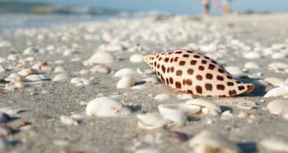 Gorgeous Coastal Cottage "Ibis" Minutes to the beach and free bikes! JULY SAVINGS