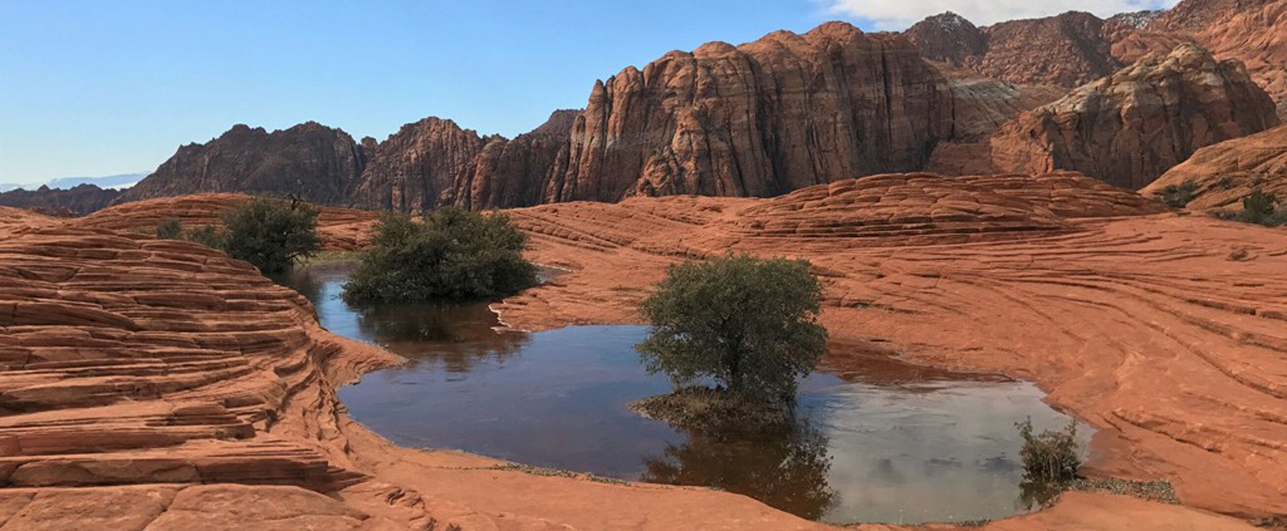 A natural landscape with red rock formations, a small pond, and sparse vegetation.