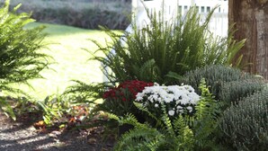 Un jardín con diversas plantas y un pabellón blanco al fondo.