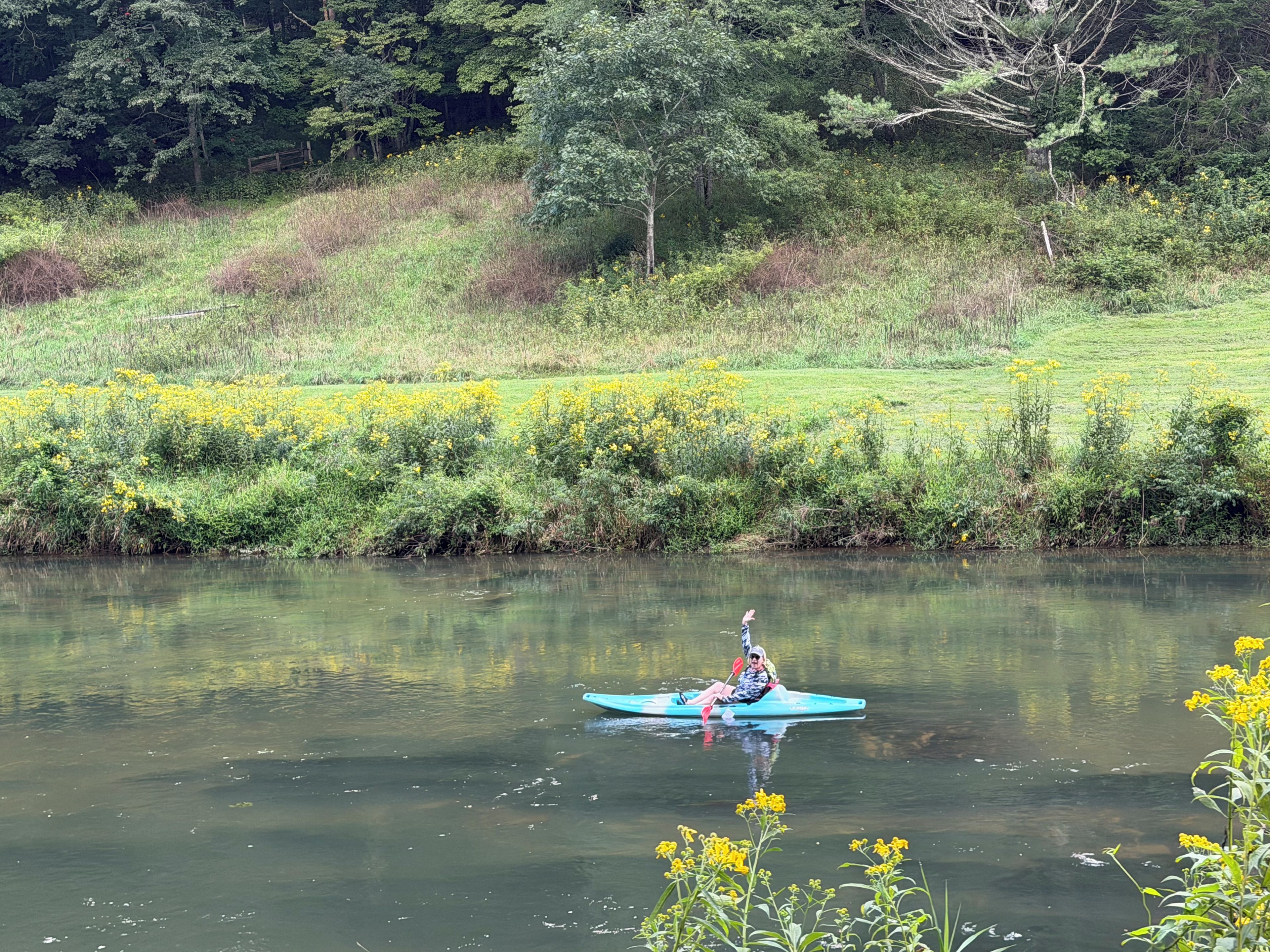 Una persona hace kayak en un río tranquilo bordeado de vegetación y flores amarillas.