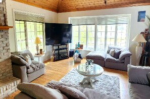 スマートテレビ、暖炉、DVD プレーヤー、書庫