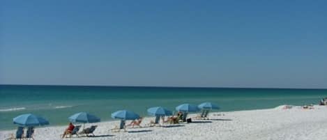 On the beach, sun-loungers
