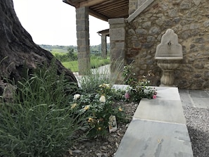 Parco della struttura
