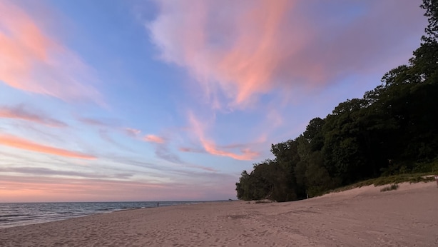 Una playa con cielo despejado y árboles al fondo.