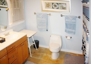 Combined shower/bathtub, jetted bath, hair dryer, towels