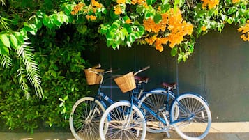Vélo