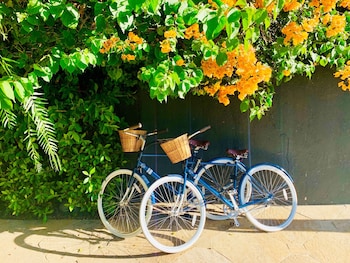 Bicycling at Hotel 850 SVB, a Member of Design Hotels